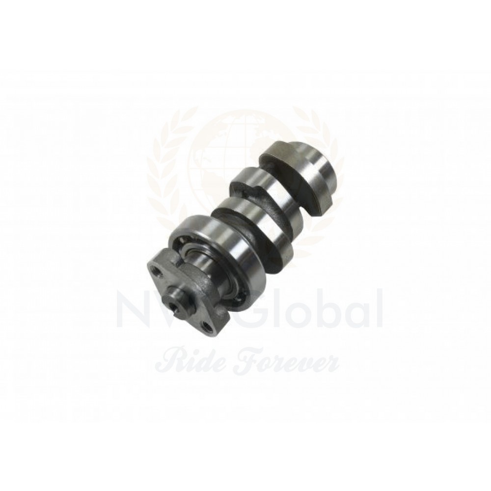 EKSANTRİK MİLİ ACTİVA S 125